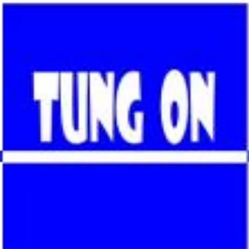 Tung On Toy's Company